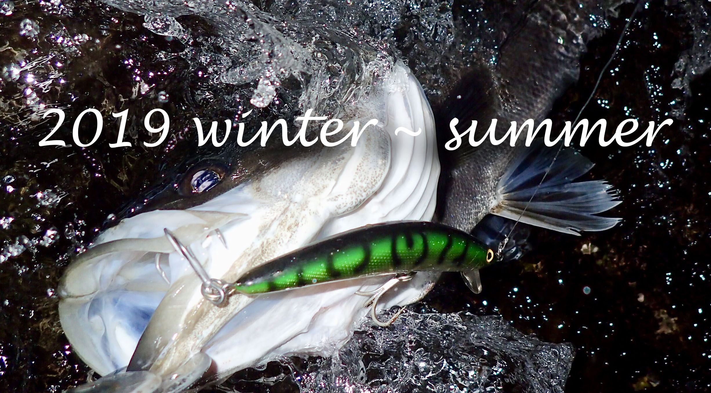 ザウルス ソルティーブラウニー 18 SAURUS Trout Brownny ブラウニー